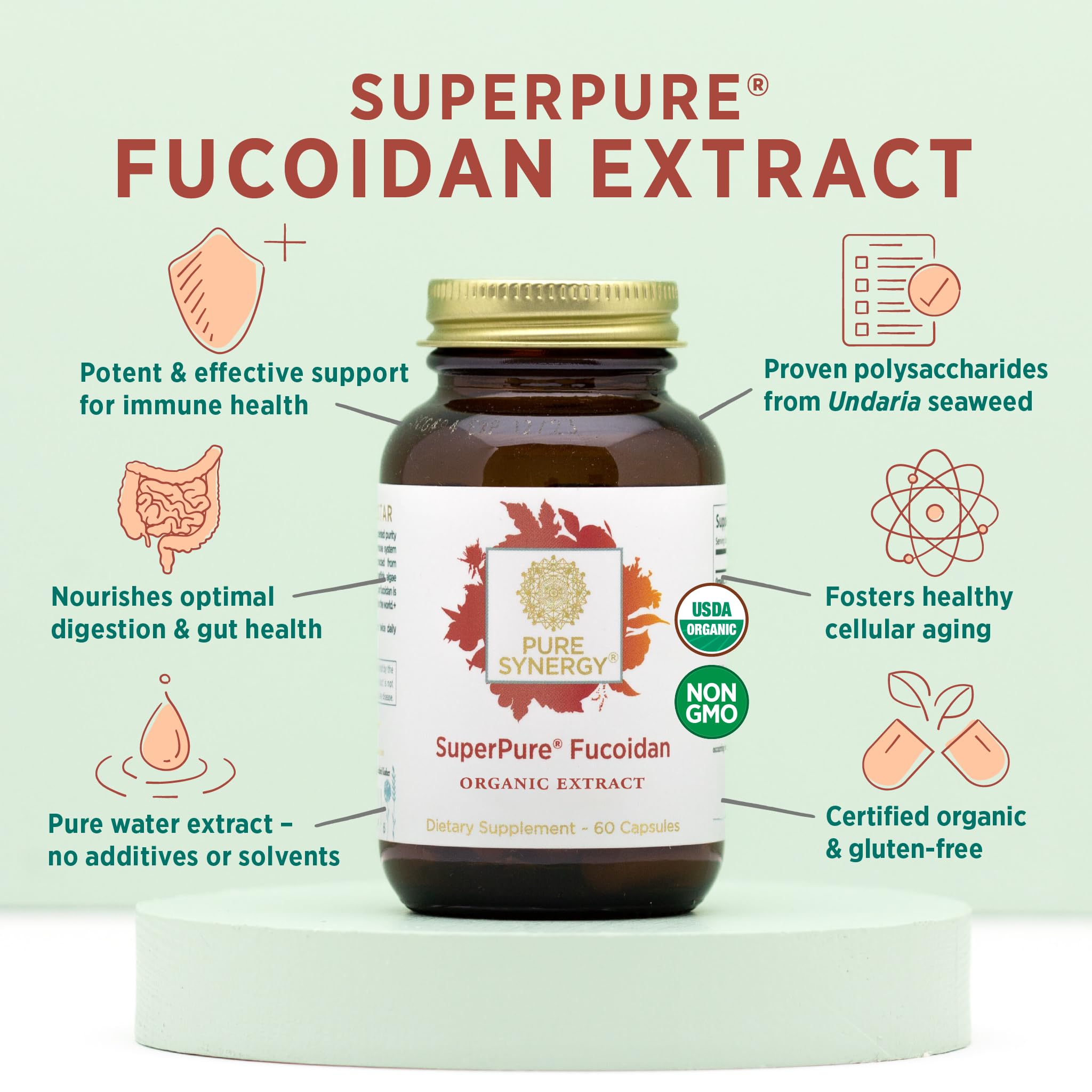 PURE SYNERGY Fucoidan Supplement capsules on a wooden surface