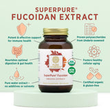 PURE SYNERGY Fucoidan Supplement capsules on a wooden surface