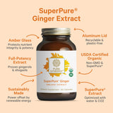 PURE SYNERGY Ginger Root Capsules bottle with label
