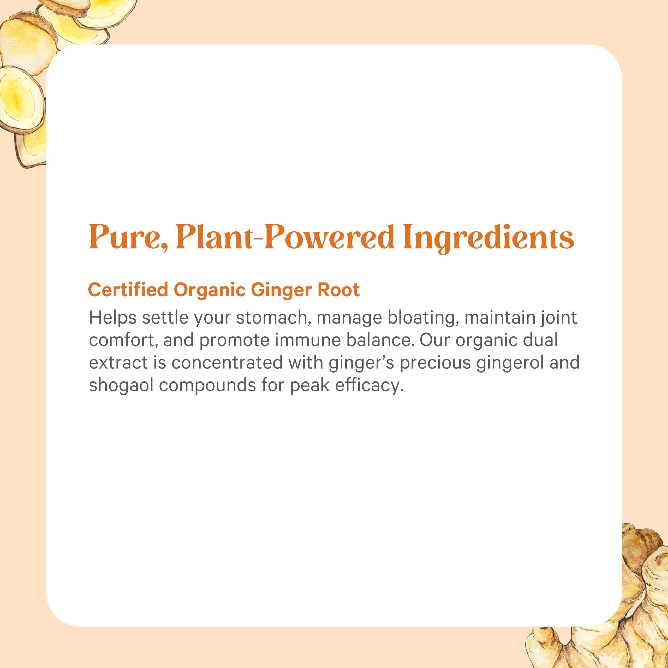 PURE SYNERGY Ginger Root Capsules with fresh ginger root