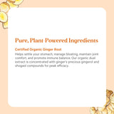 PURE SYNERGY Ginger Root Capsules with fresh ginger root