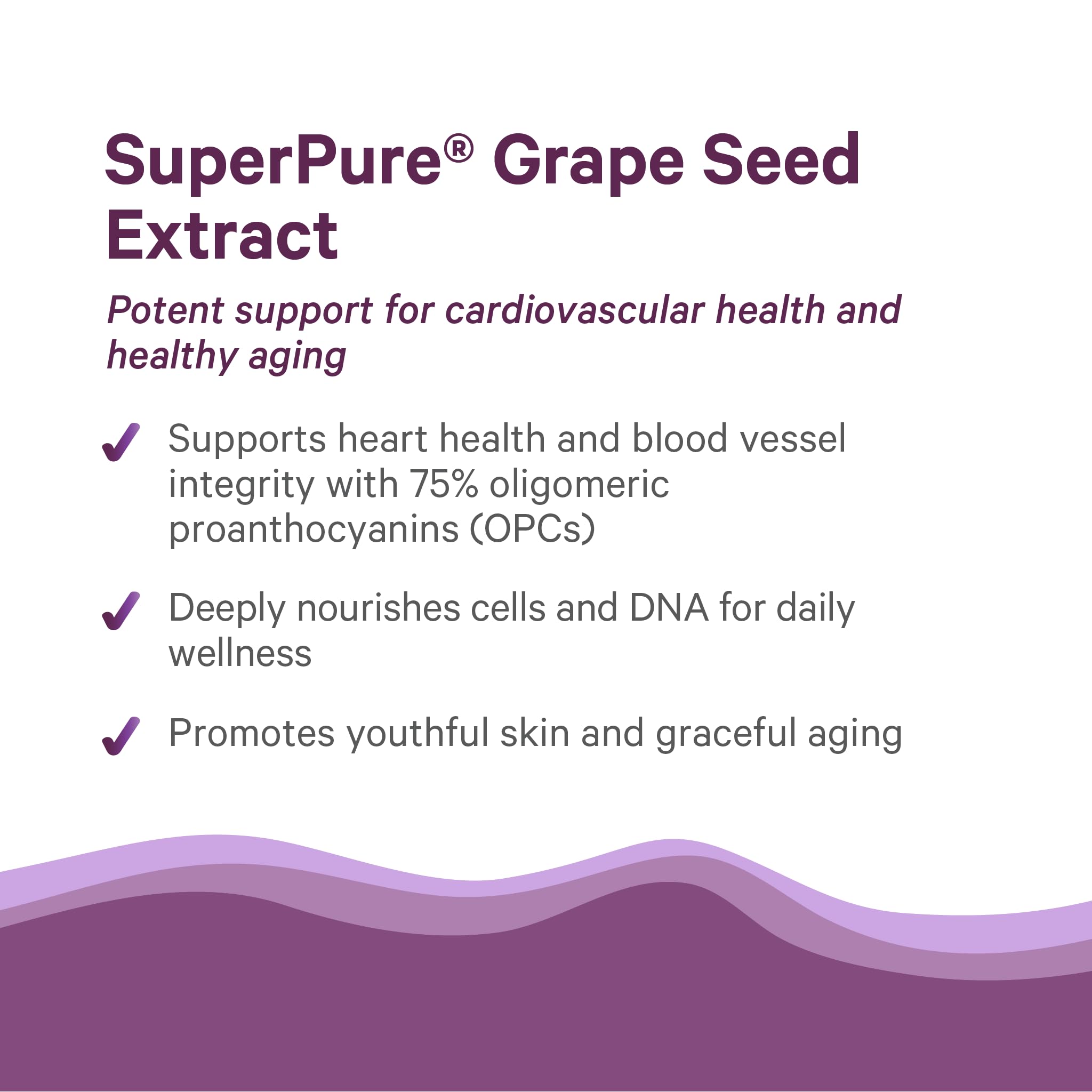 PURE SYNERGY Grape Seed Extract capsules on a table
