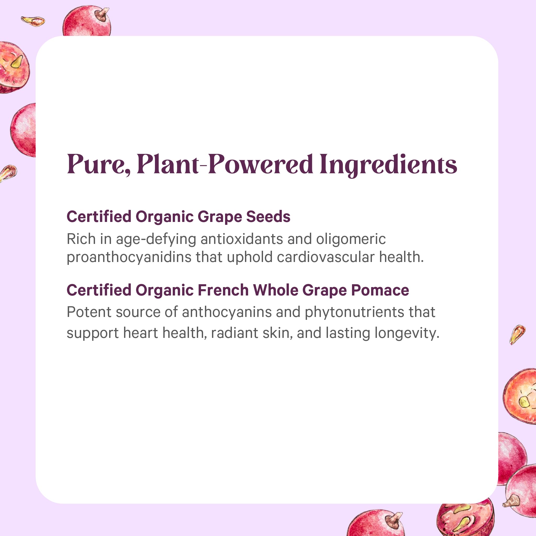 PURE SYNERGY Grape Seed Extract ingredients list