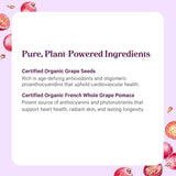 PURE SYNERGY Grape Seed Extract ingredients list