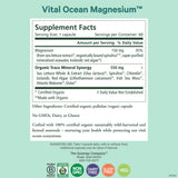 PURE SYNERGY Magnesium Capsules side view showing label
