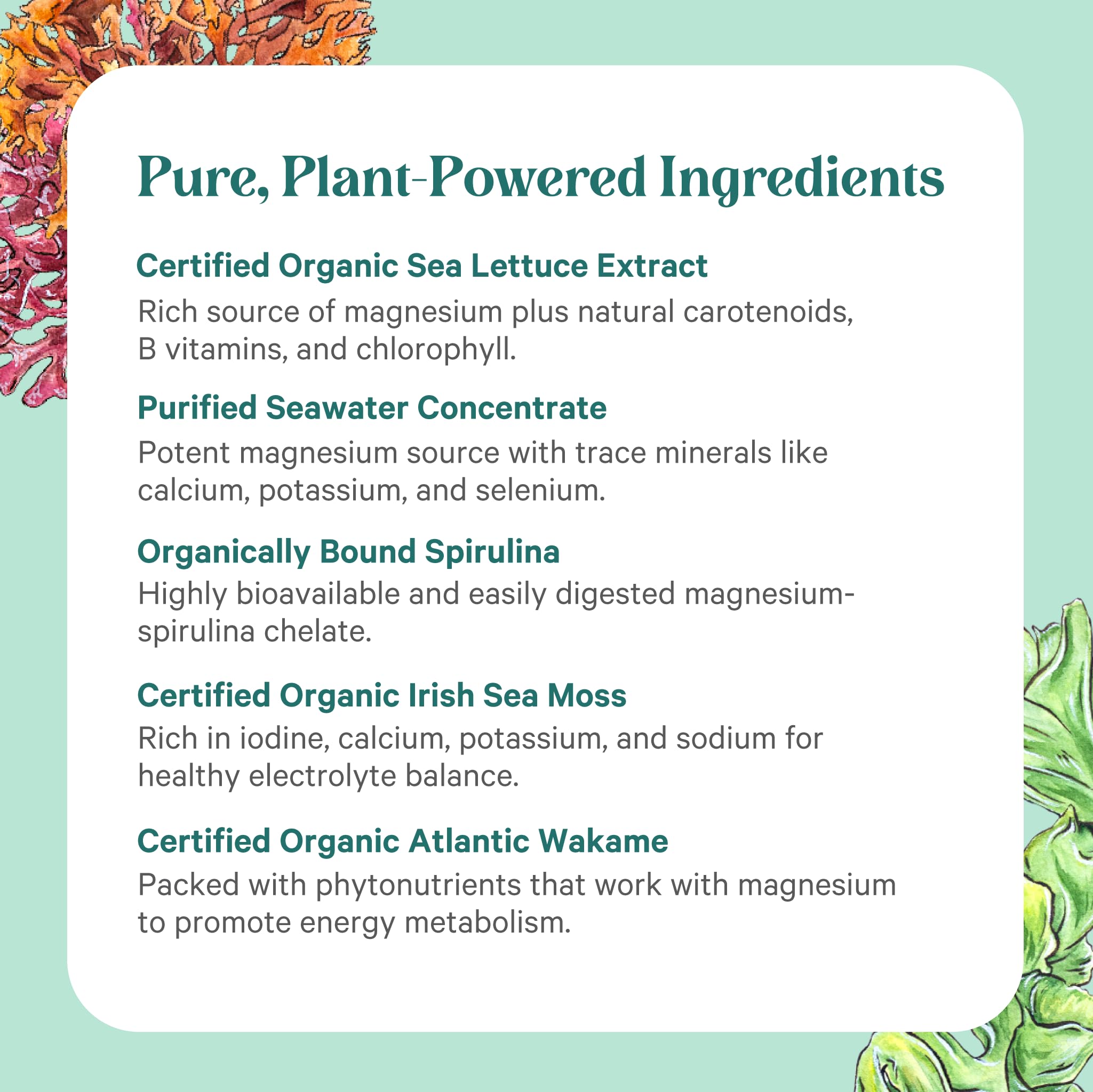 PURE SYNERGY Magnesium Capsules with organic seaweed background