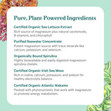PURE SYNERGY Magnesium Capsules with organic seaweed background
