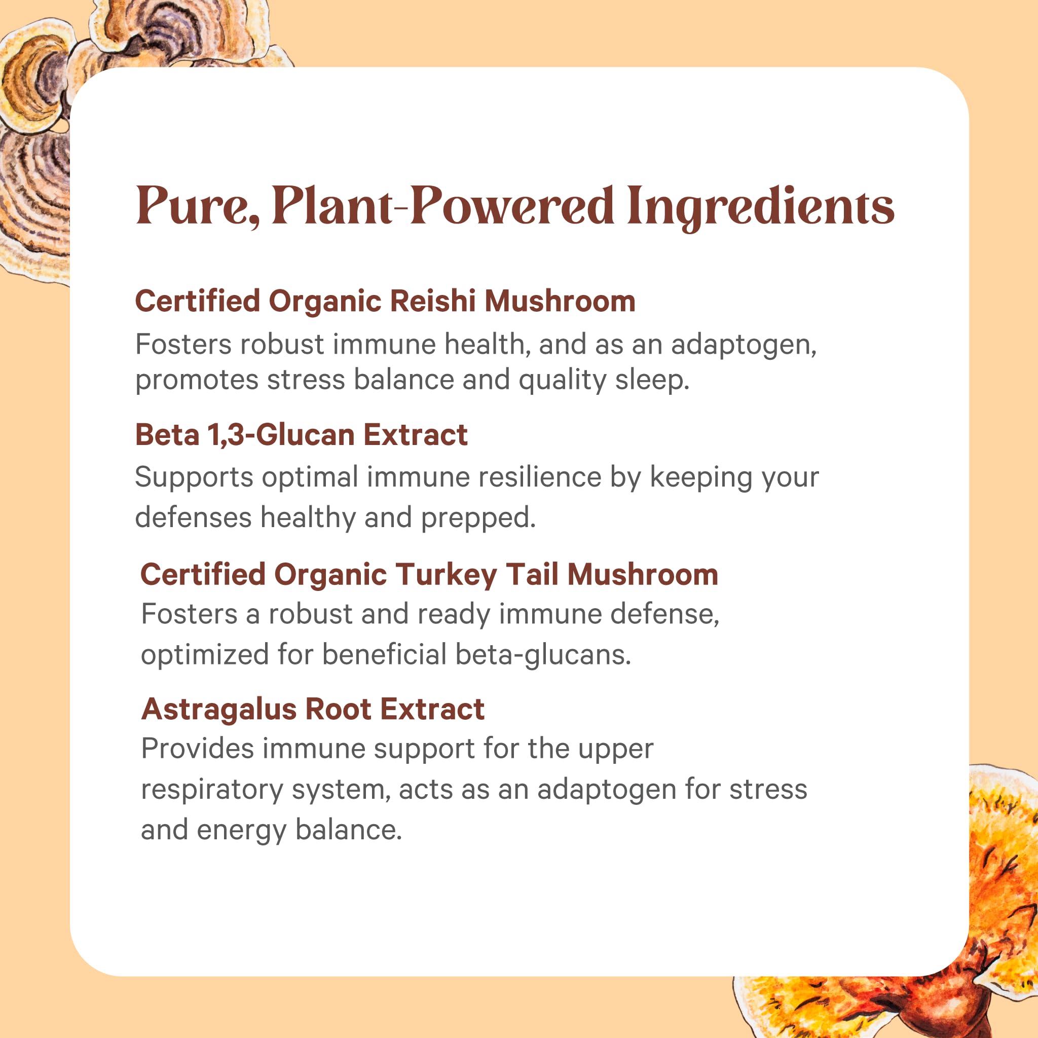 PURE SYNERGY Mega Mushroom Supplement bottle with a measuring spoon