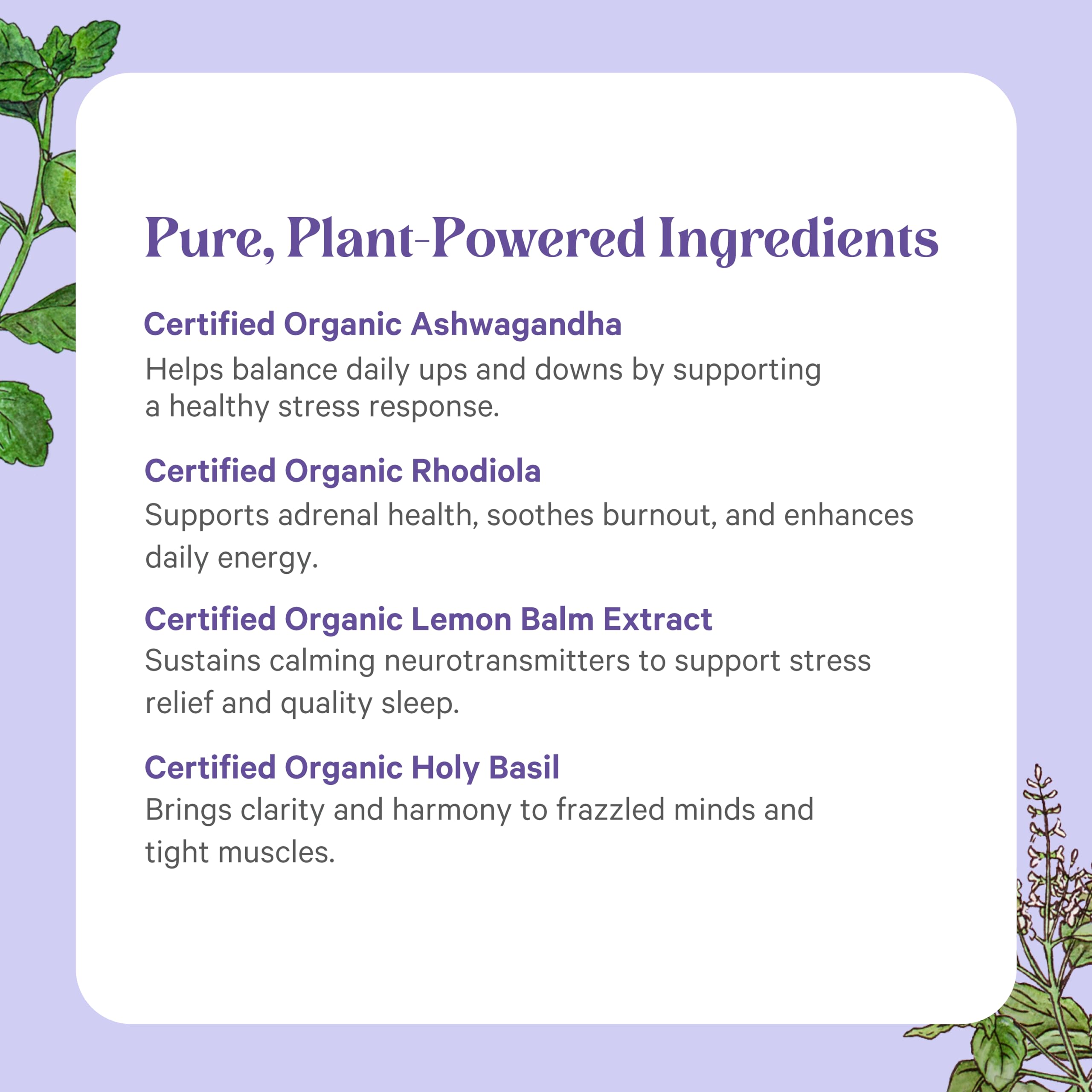 PURE SYNERGY Organic Ashwagandha 600mg capsules with measuring spoon