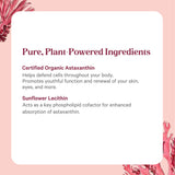 PURE SYNERGY Organic Astaxanthin capsules on a wooden table