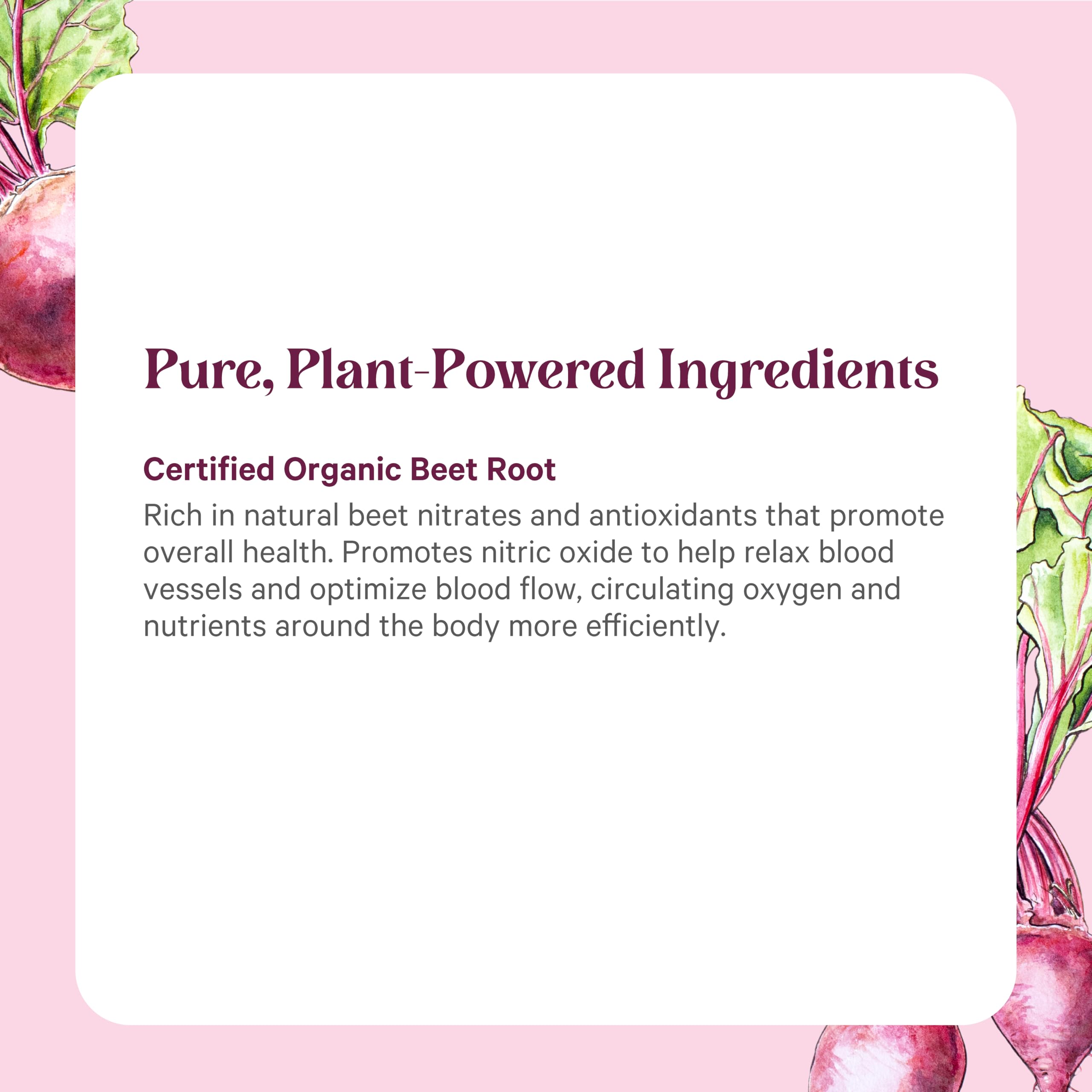 PURE SYNERGY Organic Beet Juice Powder 6.4oz nutritional information