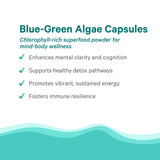 PURE SYNERGY Organic Blue Green Algae Capsules nutritional information