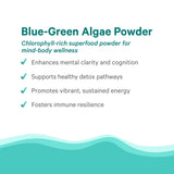 PURE SYNERGY Organic Blue Green Algae Powder close-up of powder