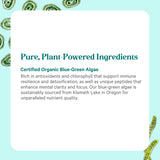 PURE SYNERGY Organic Blue Green Algae Powder with green smoothie