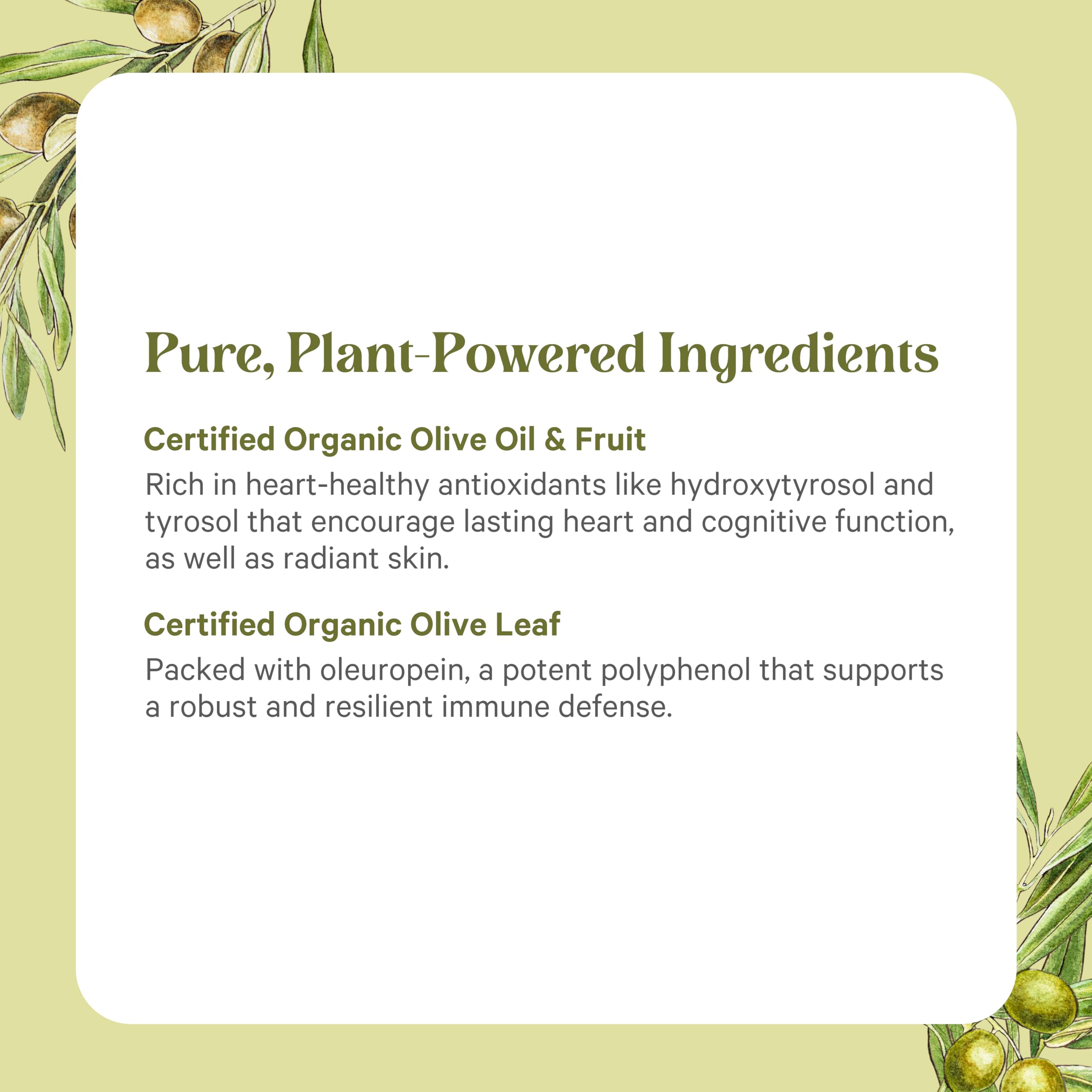 PURE SYNERGY Organic Olive Leaf Capsules open bottle with capsules