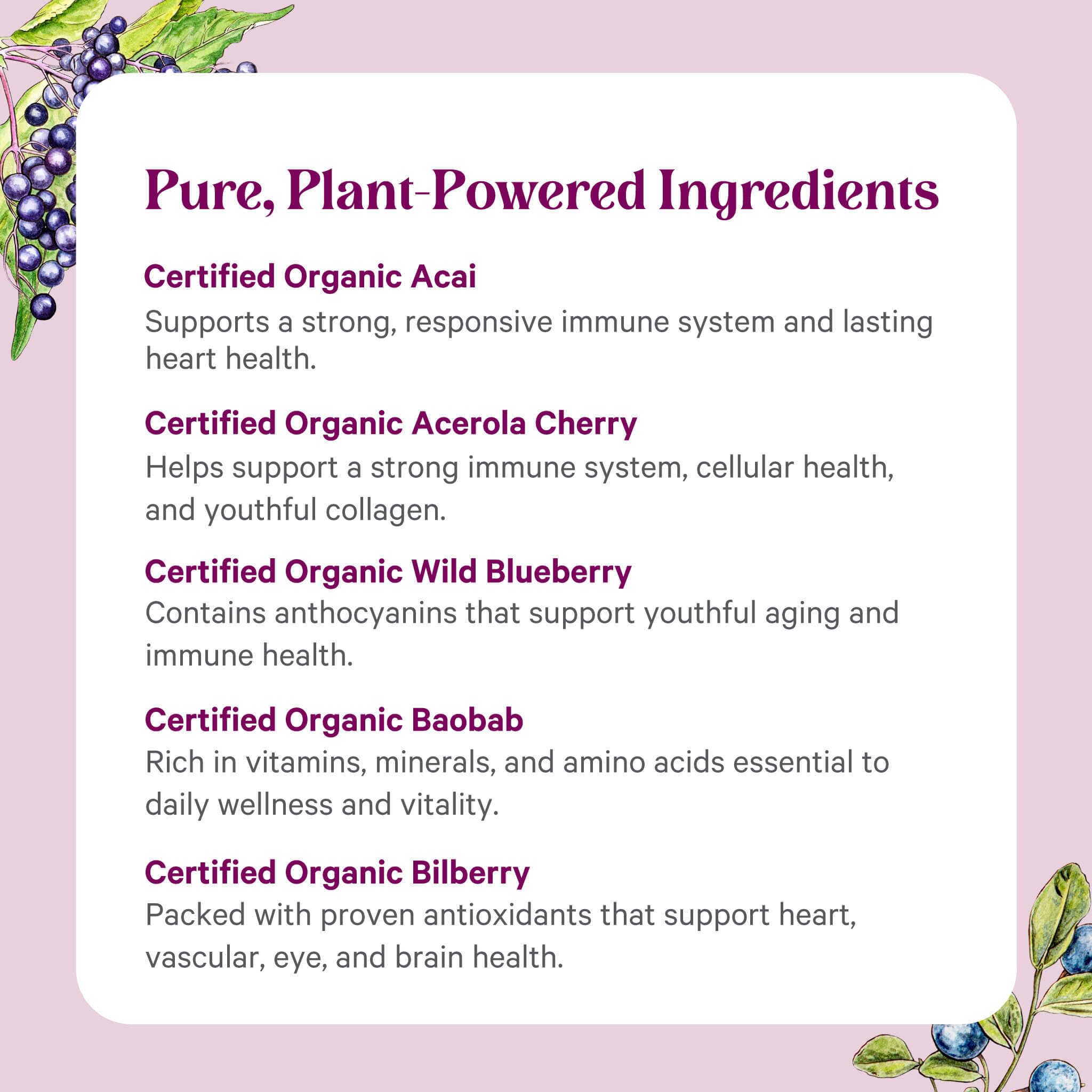 PURE SYNERGY Organic Superfruit Blend 150g packaging