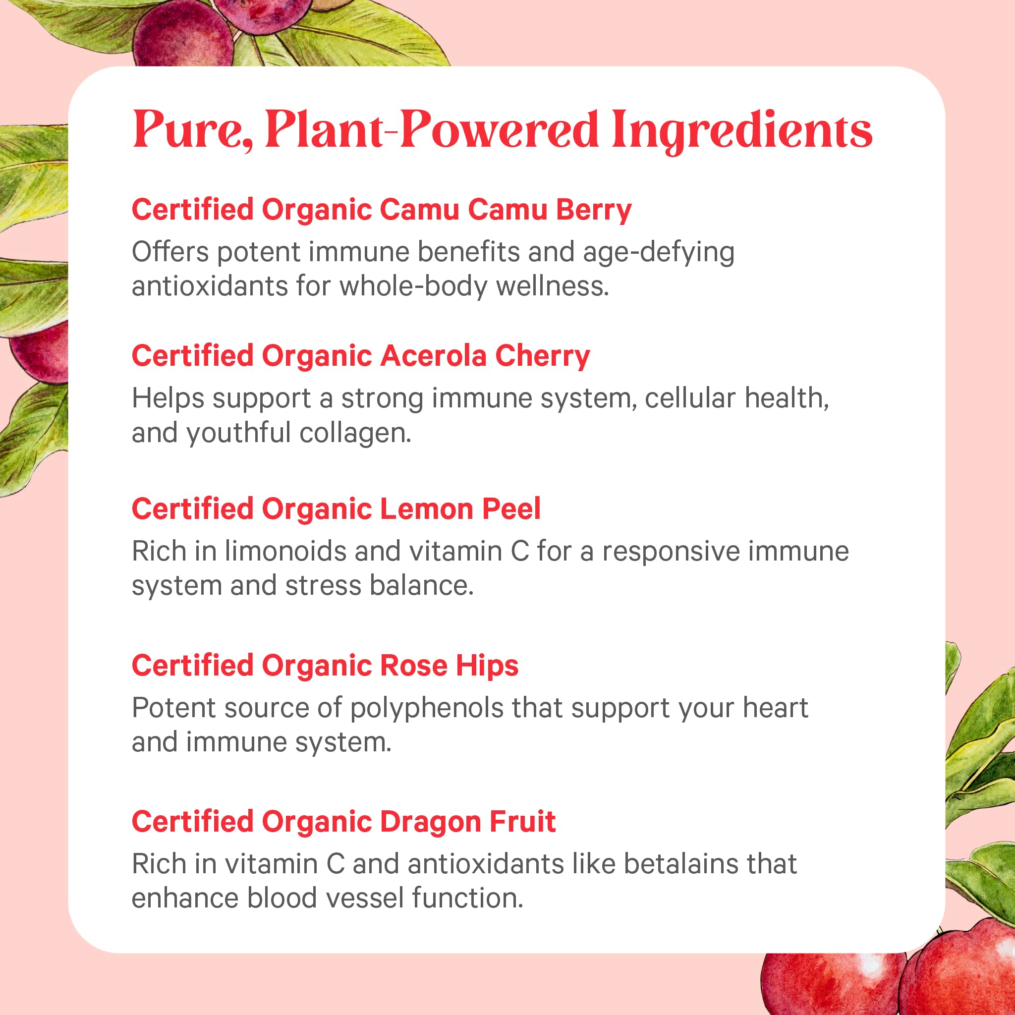 PURE SYNERGY Organic Vitamin C Powder 120g packaging details