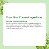 PURE SYNERGY Organic Wheat Grass Juice Powder close-up of label