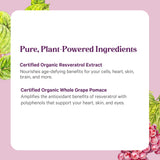 PURE SYNERGY Super Resveratrol Supplement with organic ingredients