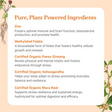 PURE SYNERGY support Men’s Multivitamin on a wooden table