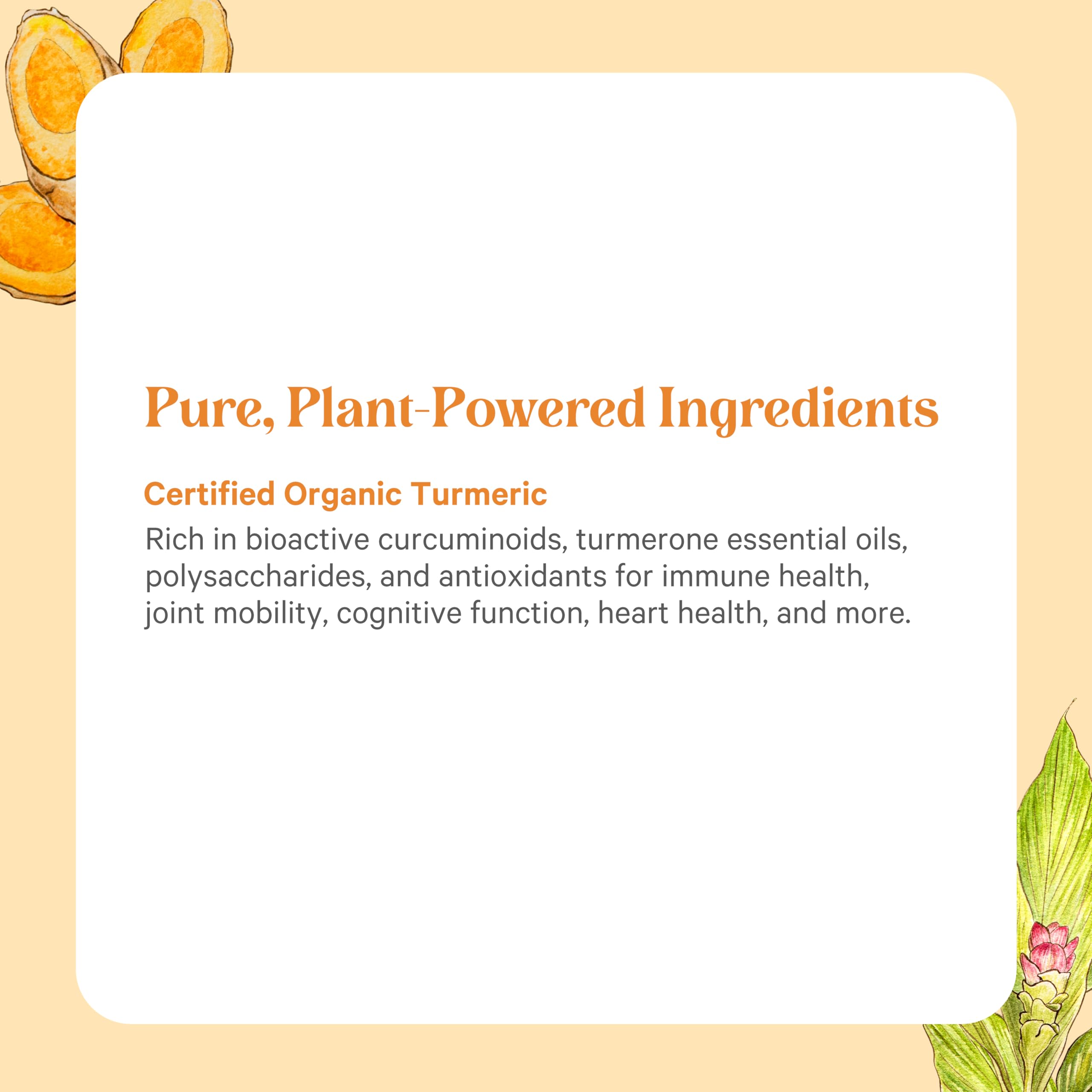 PURE SYNERGY Turmeric Curcumin Complex ingredients list