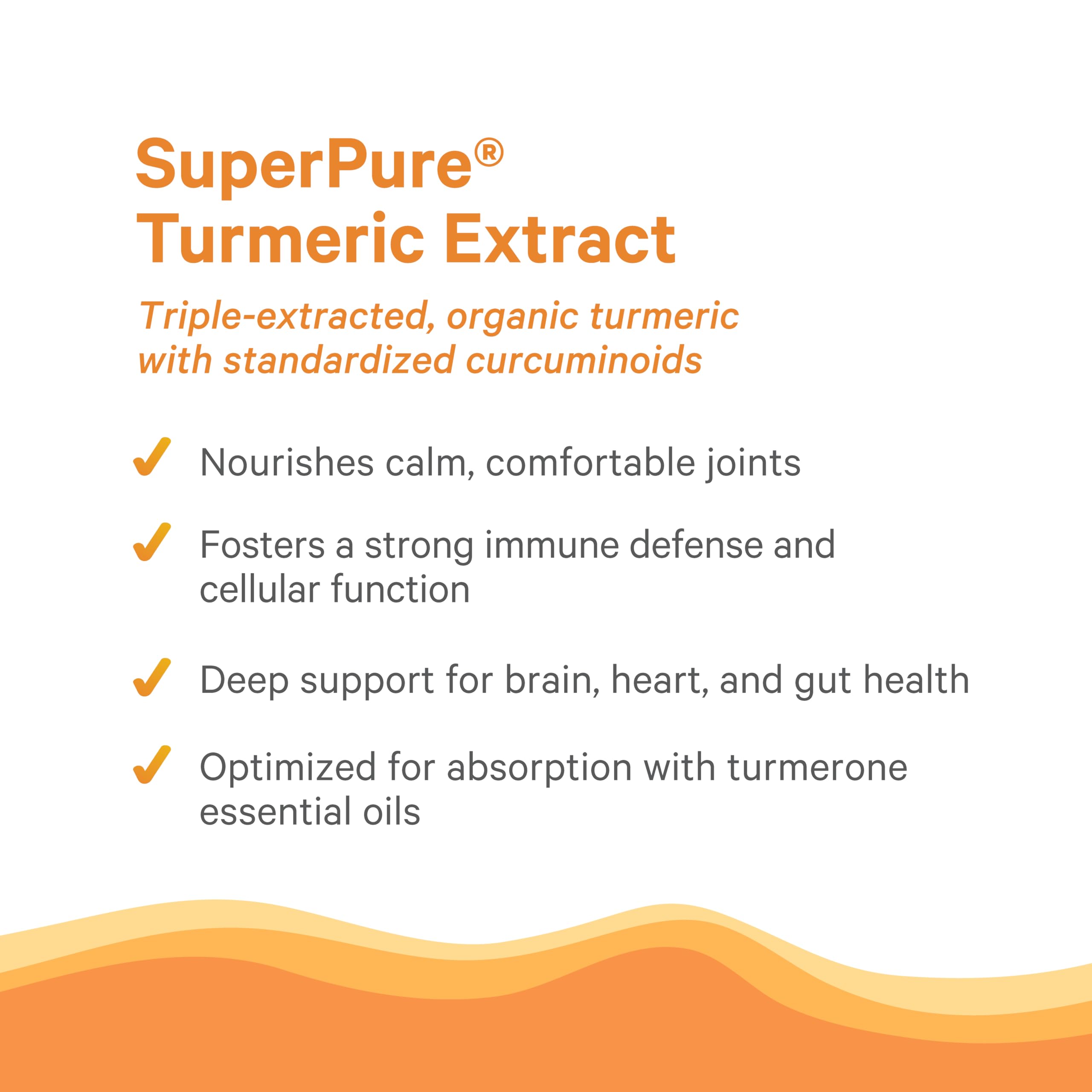 PURE SYNERGY Turmeric Curcumin Complex with organic certification badge