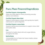 PURE SYNERGY Women’s Multivitamin ingredients list