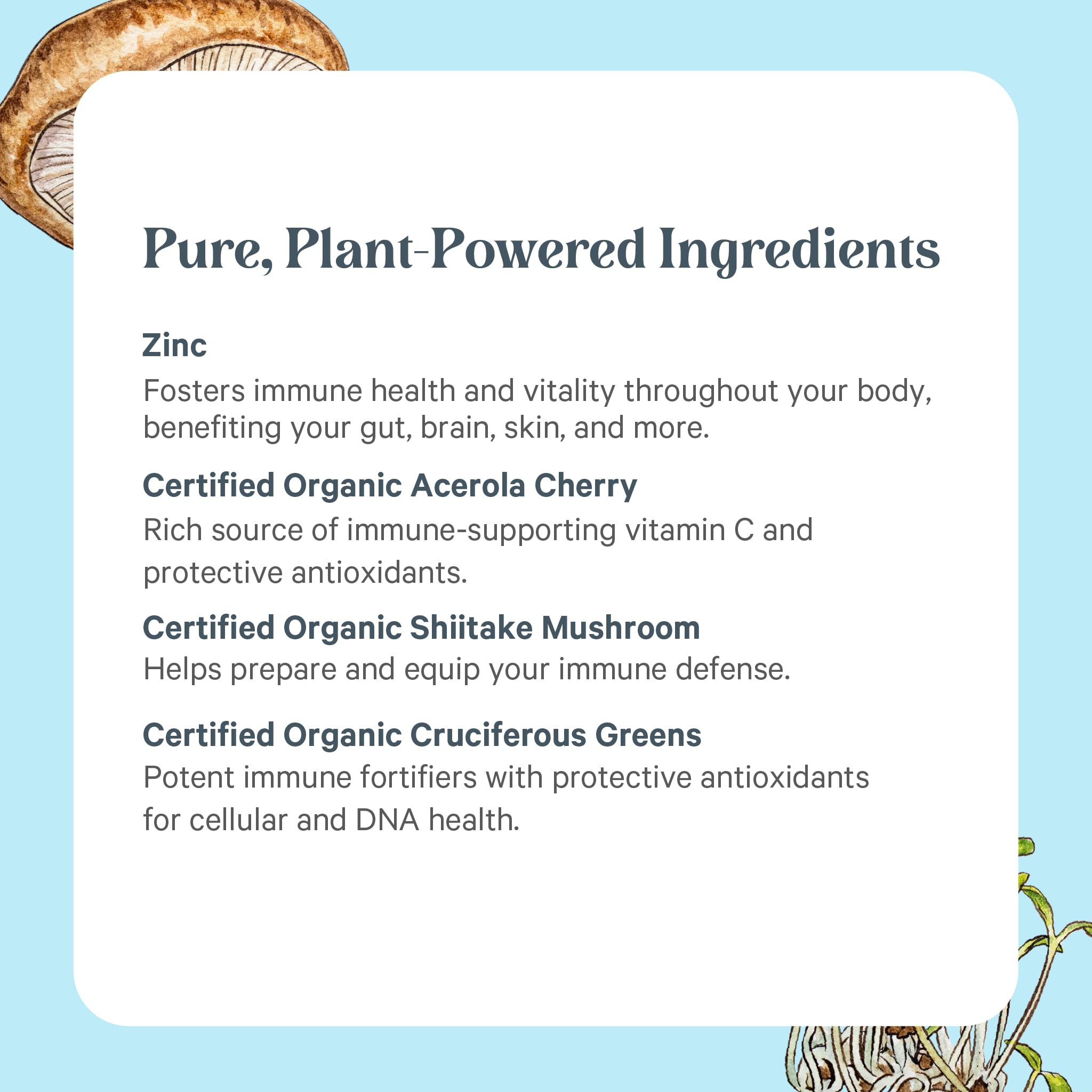 PURE SYNERGY Zinc Supplement displayed with organic ingredients