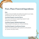 PURE SYNERGY Zinc Supplement displayed with organic ingredients