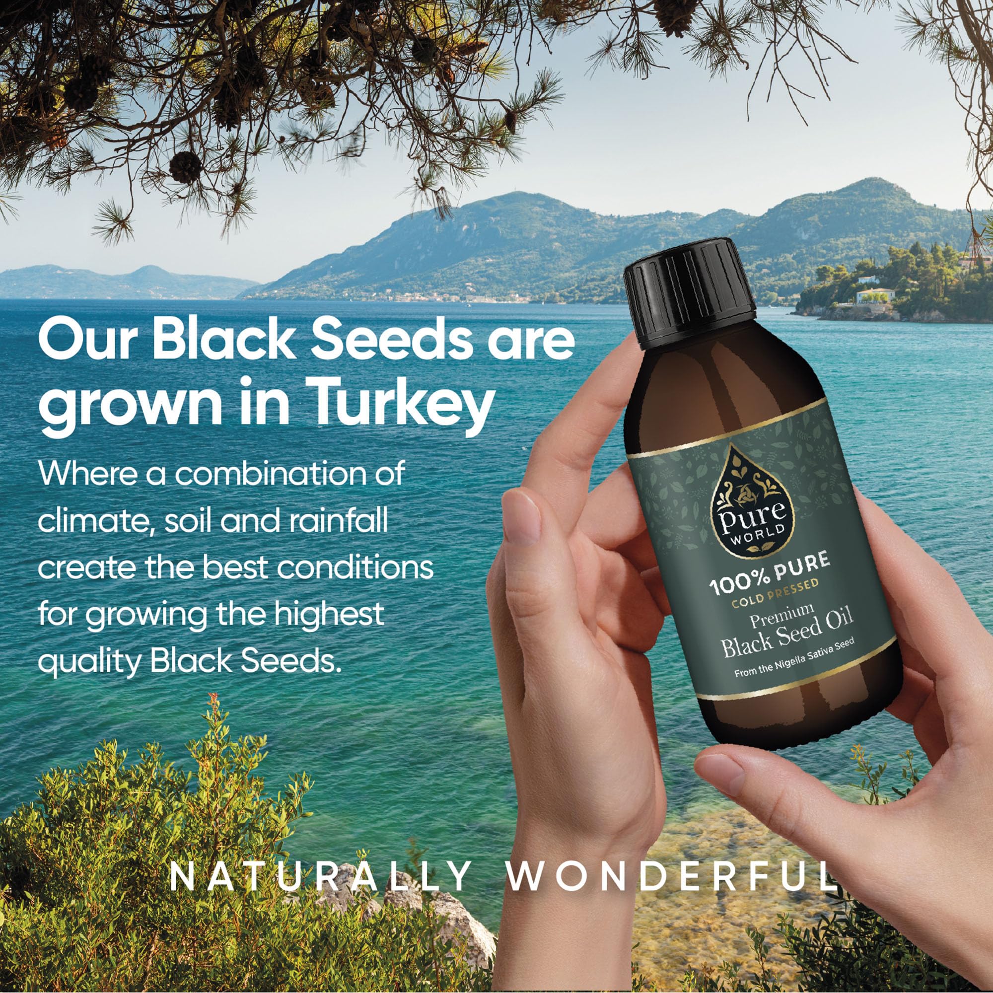 Pure World Black Seed Oil 100g side view with label