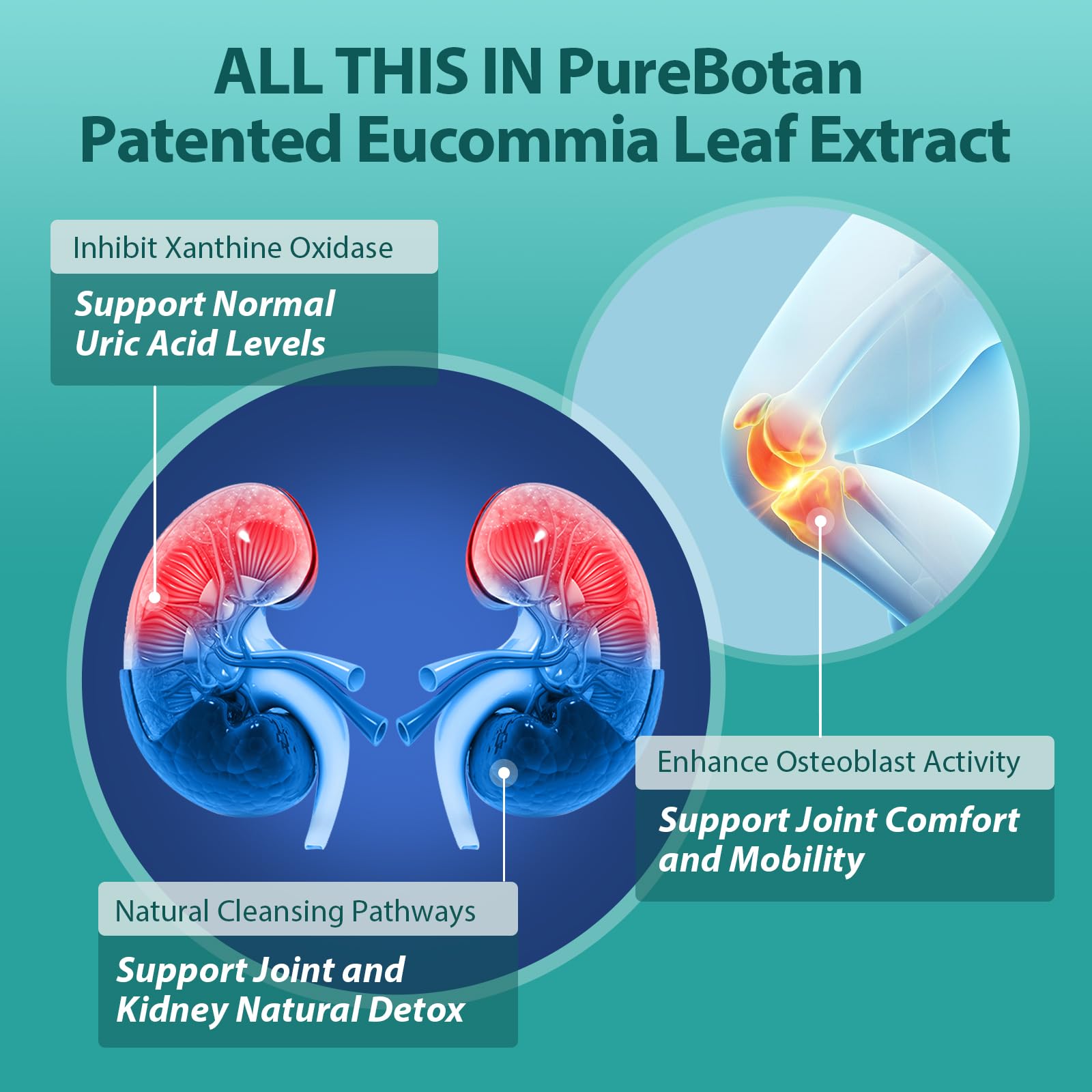 PureBotan Uric Acid Support 3-in-1 Herbal Formula capsules