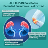 PureBotan Uric Acid Support 3-in-1 Herbal Formula capsules