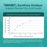 PureBotan Uric Acid Support 3-in-1 Herbal Formula packaging