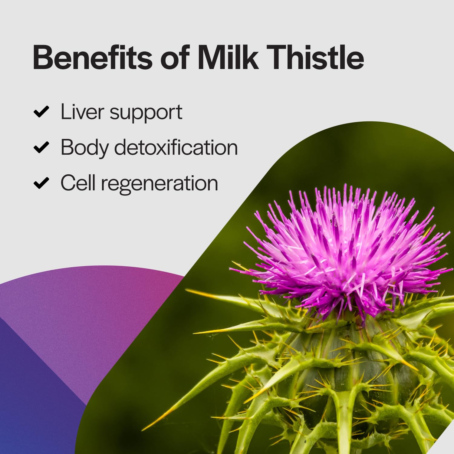 PureFormulas Milk Thistle Capsules 250mg back view