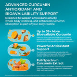 PUREHEALTH RESEARCH Curcumin Supplement ingredients list