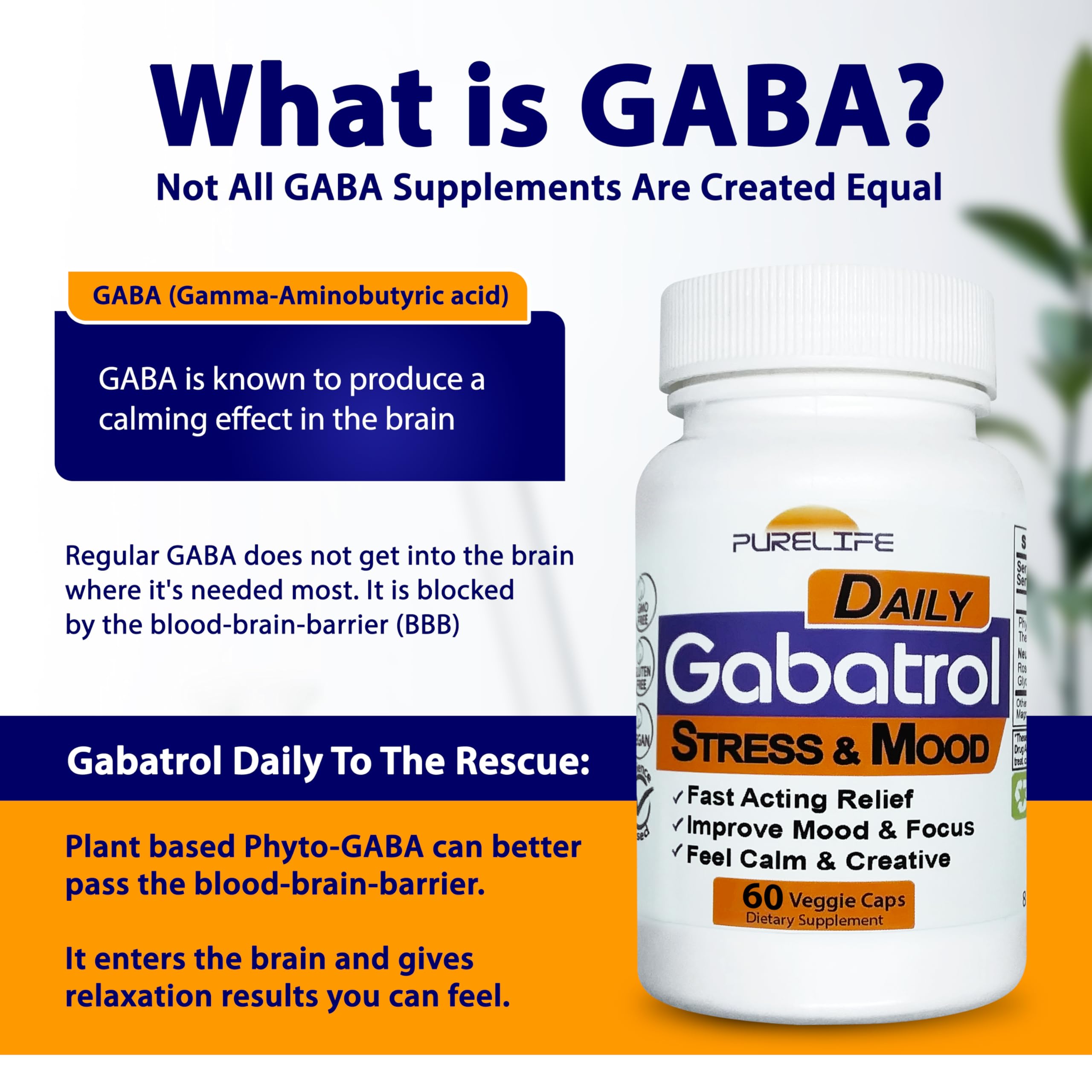 PureLife Gabatrol Daily capsules on a wooden surface