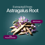 Purely Holistic Astragalus Root Capsules close-up of capsules