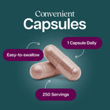 Purely Holistic Astragalus Root Capsules in a lifestyle setting
