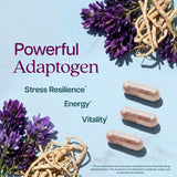 Purely Holistic Astragalus Root Capsules ingredients list