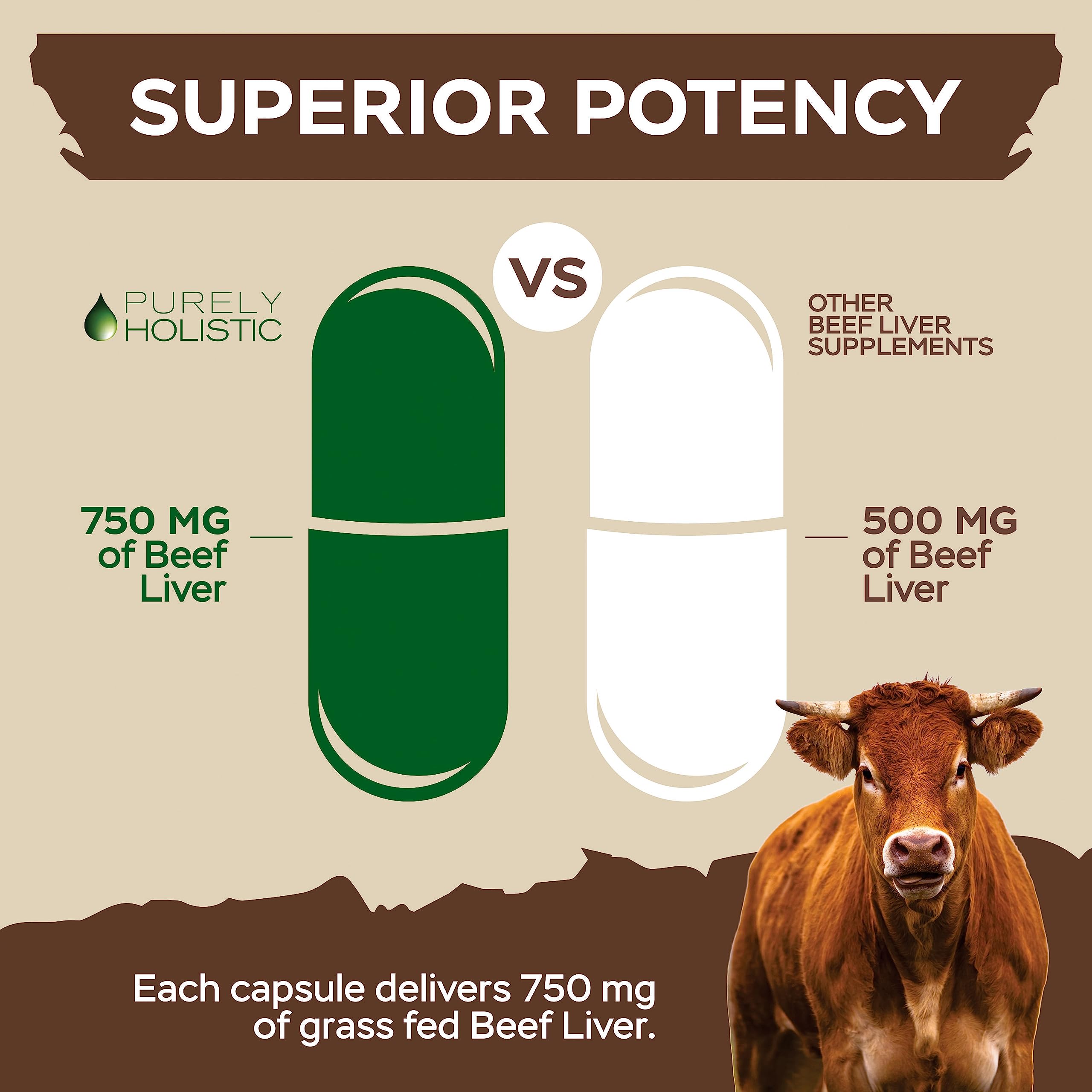 Purely Holistic Beef Liver Supplement 750mg capsules in hand