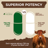 Purely Holistic Beef Liver Supplement 750mg capsules in hand
