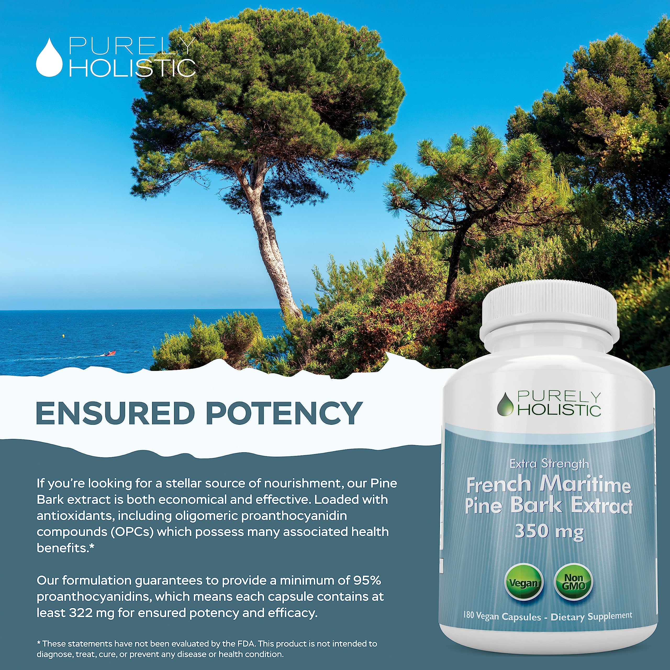 Purely Holistic French Maritime Pine Bark Extract 350mg capsules on a wooden table