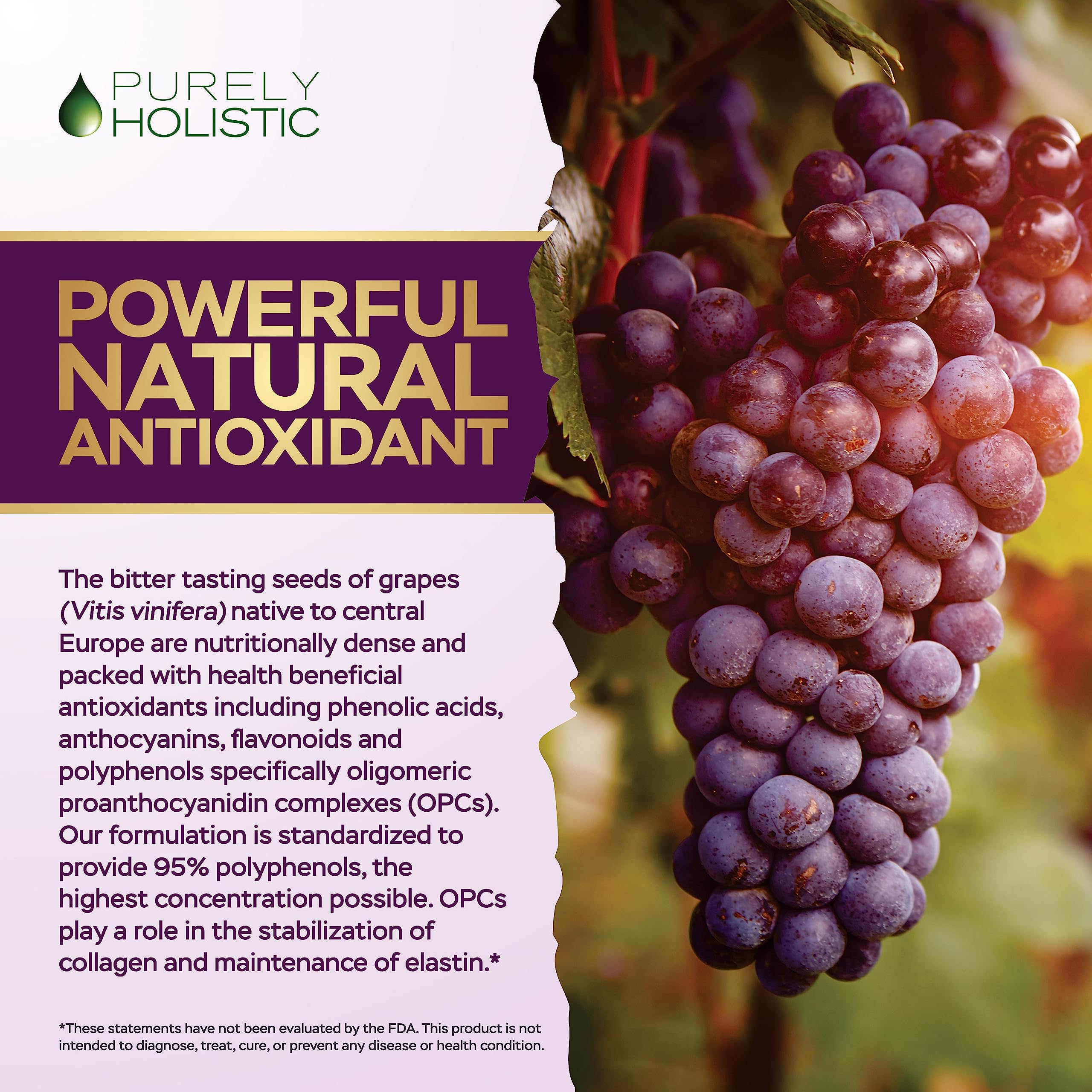 Purely Holistic Grape Seed Extract 400mg capsules close-up