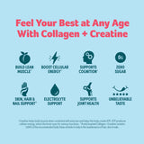 Purely Inspired Collagen + Creatine powder packaging on a kitchen counter