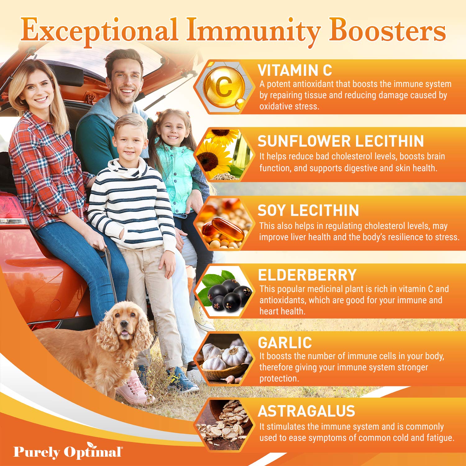 Purely Optimal Liposomal Vitamin C supplement with herbs