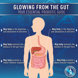 Purely Optimal Probiotic Capsules 60 Billion CFU on a wooden table