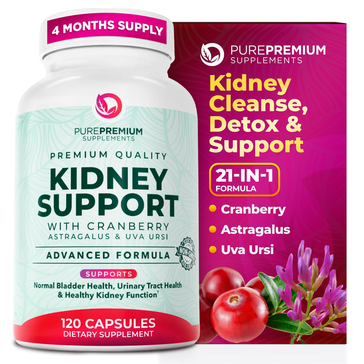 PurePremium Astragalus Kidney Support Capsules front view