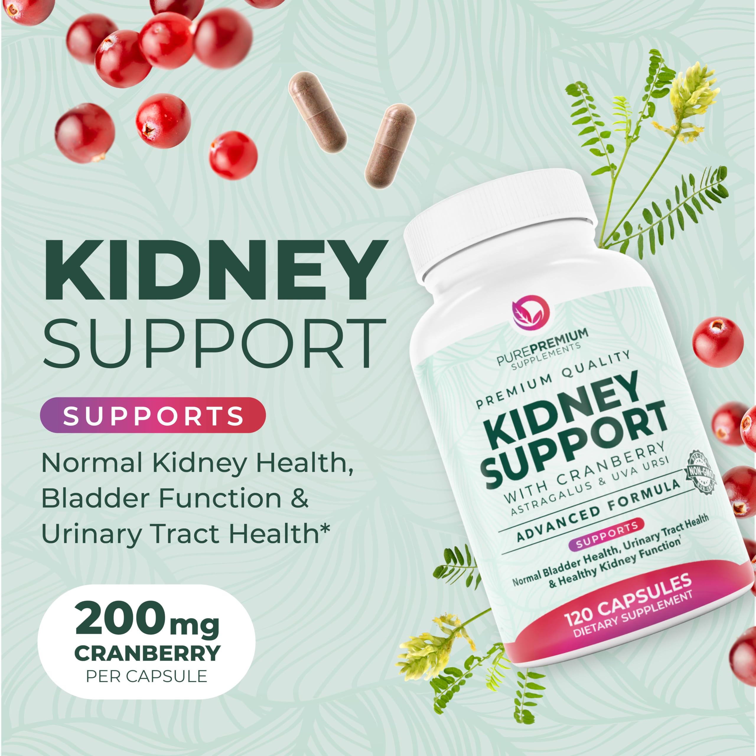 PurePremium Astragalus Kidney Support Capsules side view