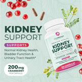 PurePremium Astragalus Kidney Support Capsules side view