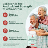 PurePremium Supplements Astaxanthin Lycopene supplement capsule close-up